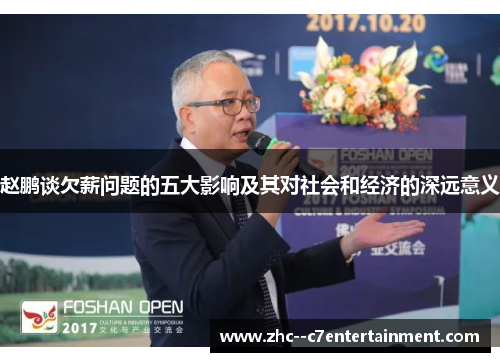 赵鹏谈欠薪问题的五大影响及其对社会和经济的深远意义